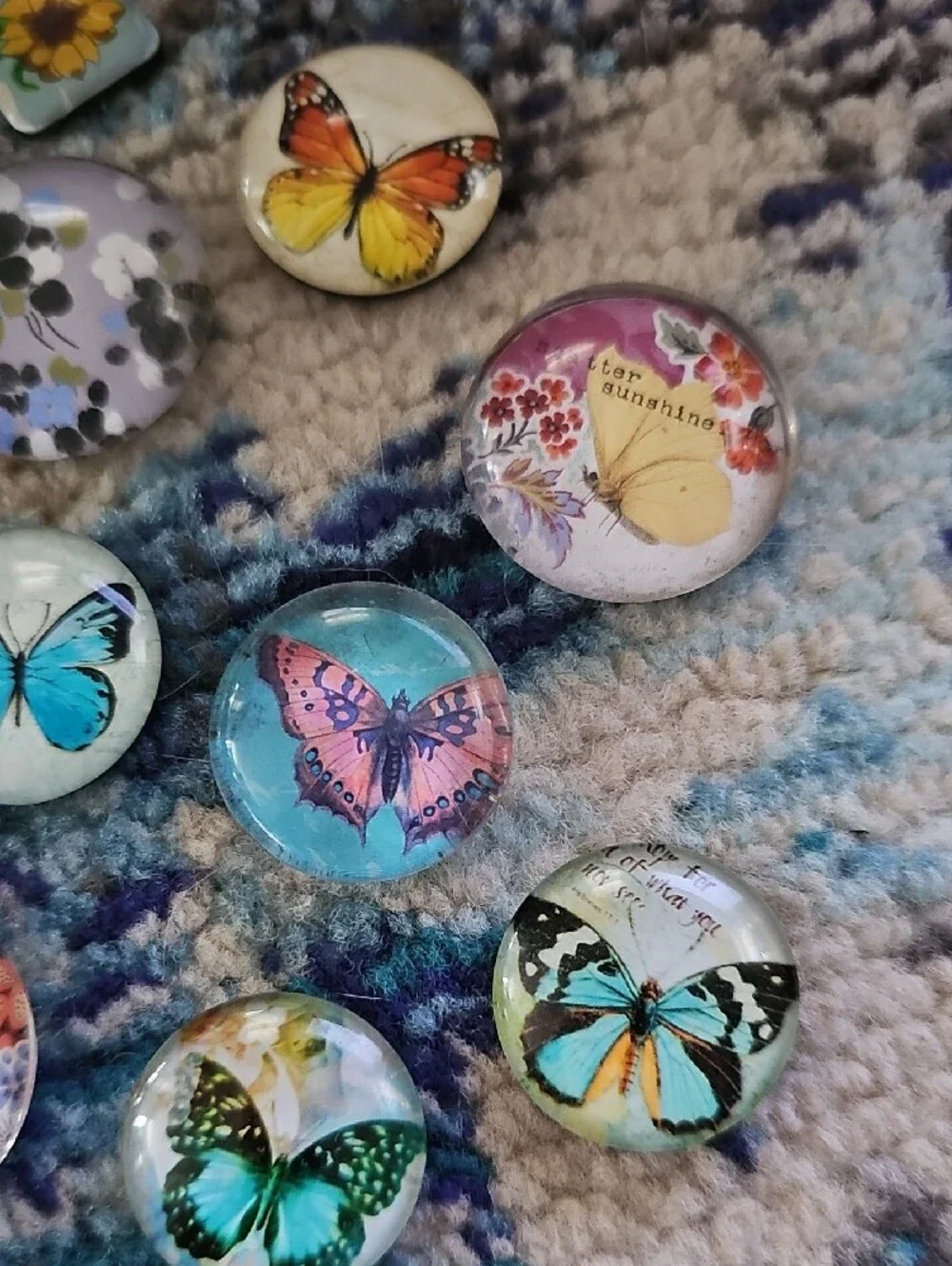 Butterfly Glass Magnets